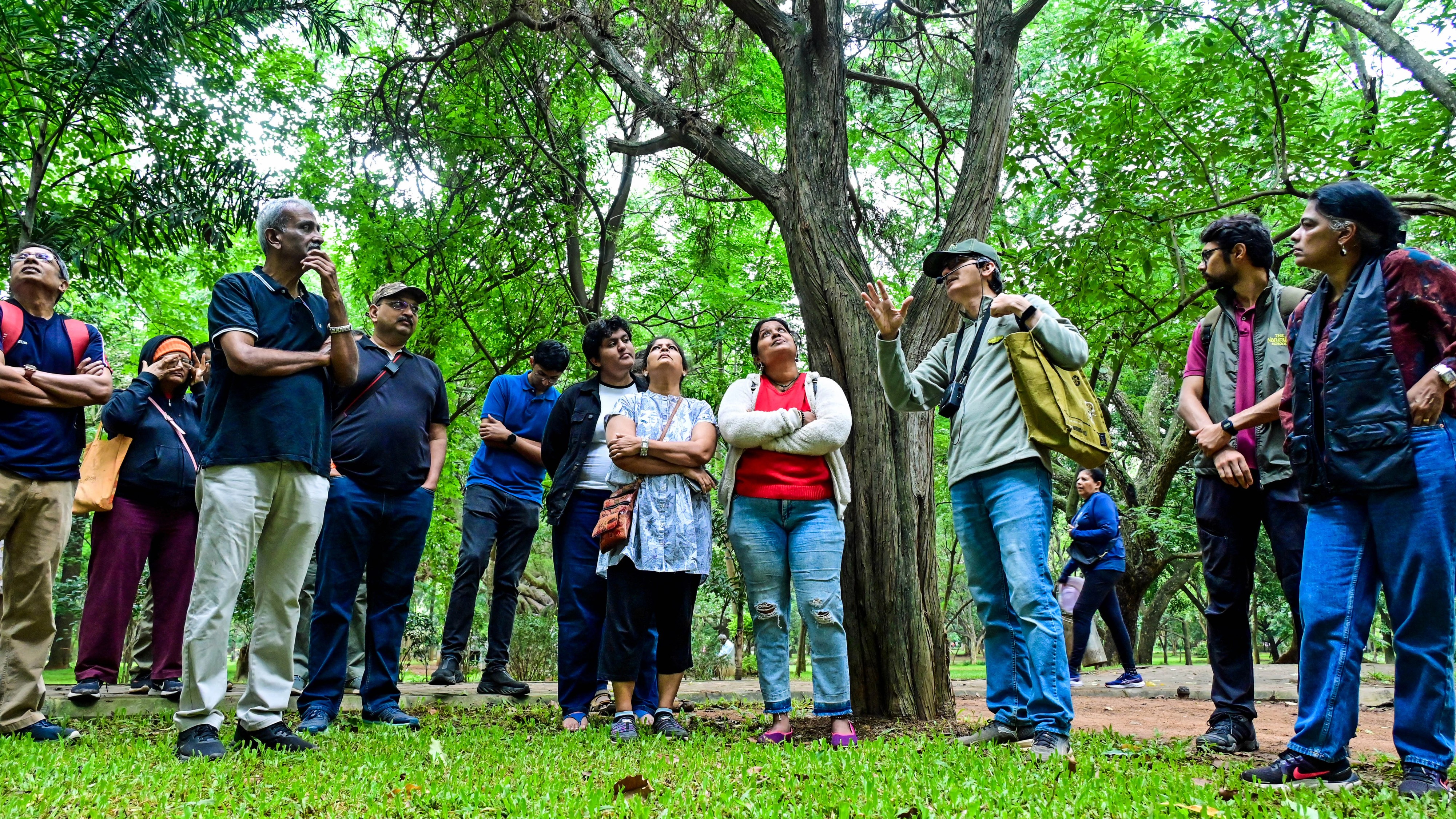 Cubbon Park calling: Where trees talk, and history walks with you
