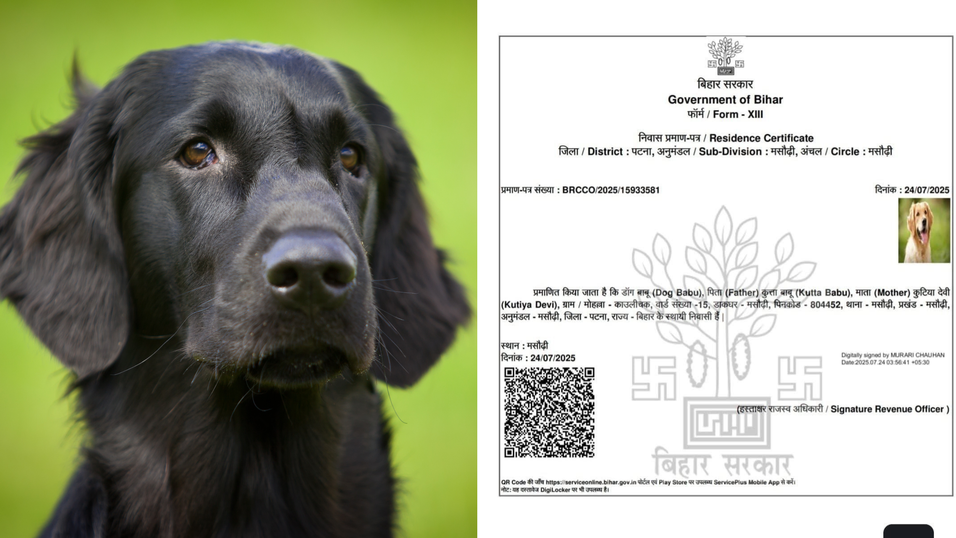 Bihar the state that never ceases to surprise! This time a residence proof for a dog