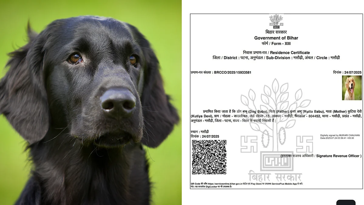Bihar Digital Mishap: Dog Gets Residence Certificate in Patna