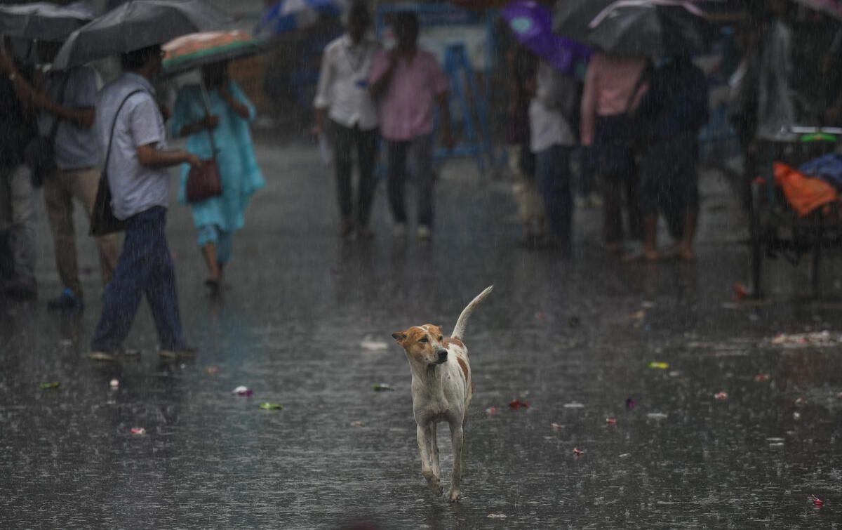 Commuters make their way amid rainfall, in Howrah