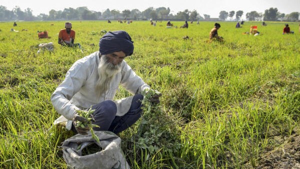 'Farmers, agri sector should be kept in mind for trade deals': RSS-affiliate union reacts to 25% US tariff on India