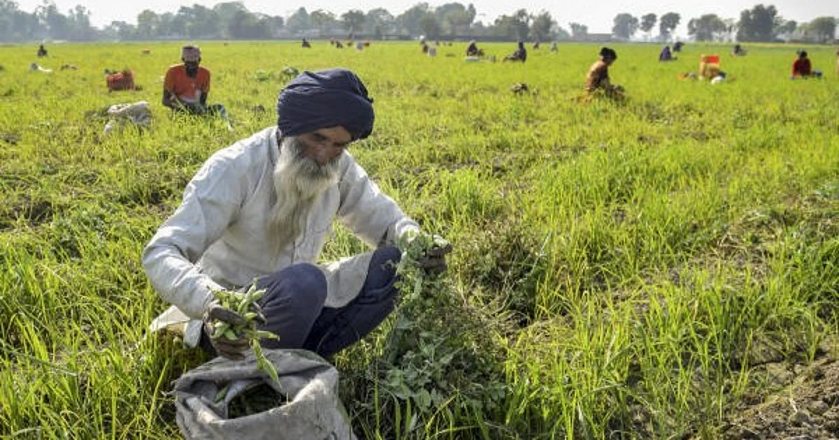 US Tariff Impact: SJM Urges Govt to Exclude Agriculture, Dairy from Trade Deal