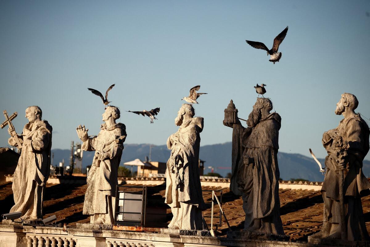 Seagulls fly over statues on the colonnade of St. Peter's Square during the welcome Mass of the Jubilee of Youth in St. Peter's Square, at the Vatican