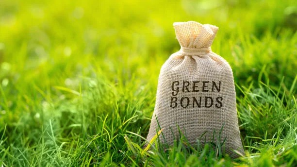 Green bonds key to climate finance, but challenges remain: IEEFA report