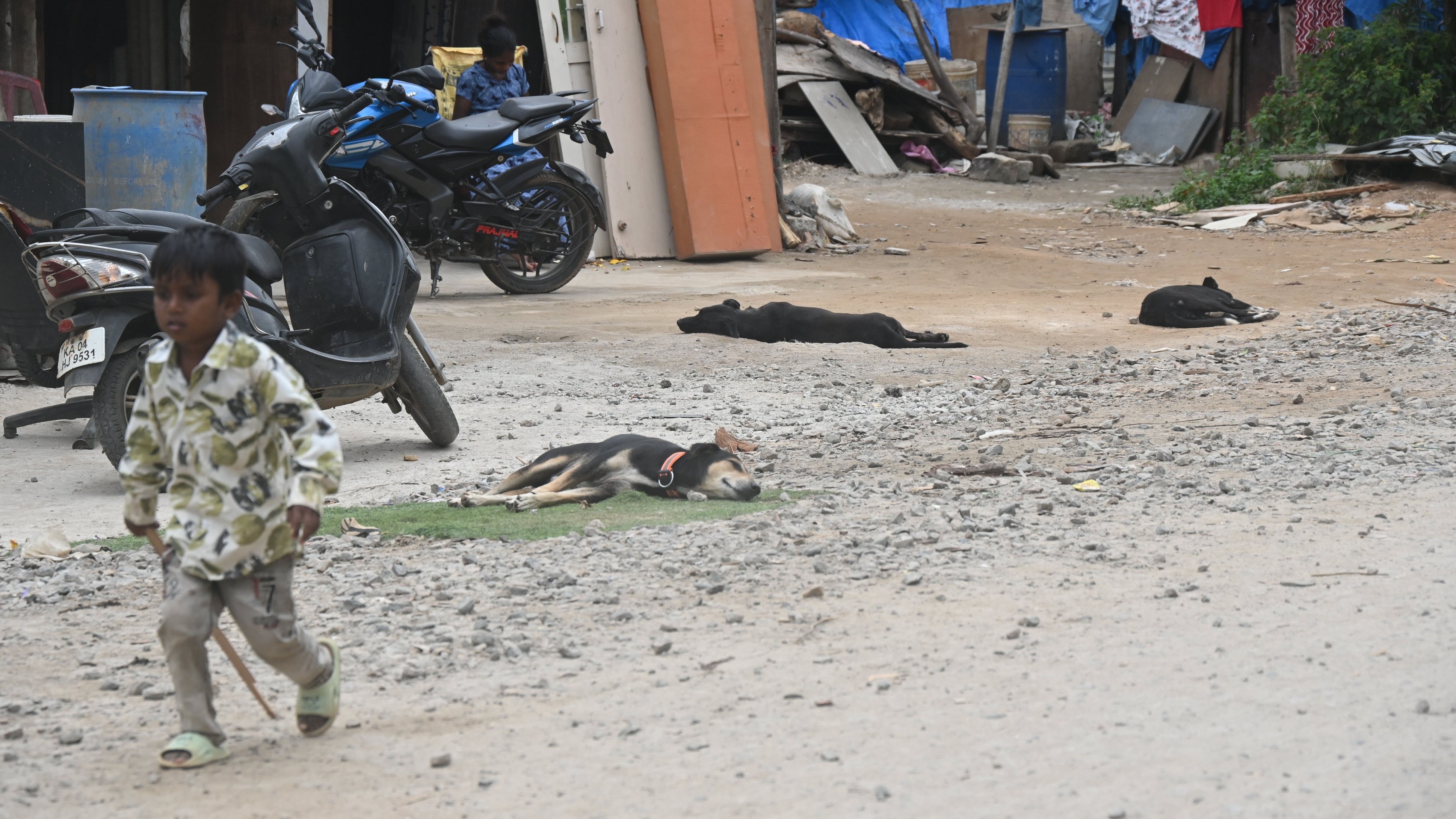 Fear grips residents in Bengaluru's Kodigehalli after fatal stray dog attack