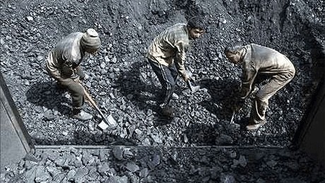 Meghalaya govt orders probe into 'misappropriation' of 4,000 MT coal