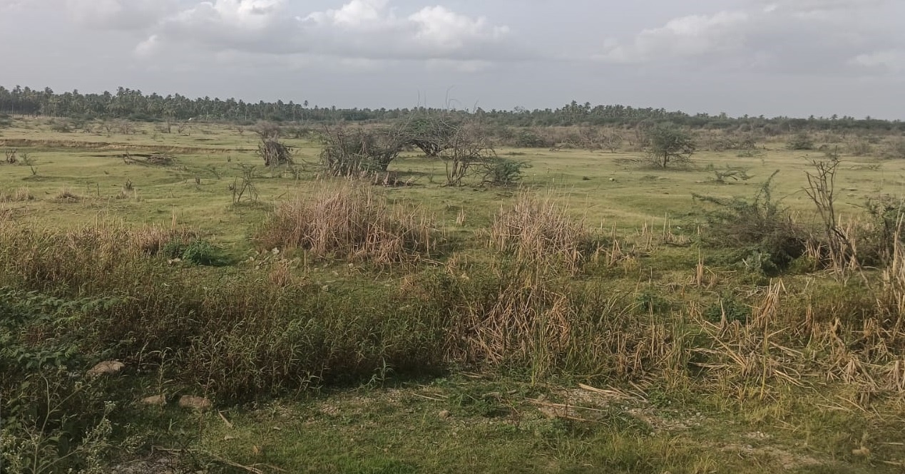 Villagers’ wait for Bhadra water may take longer