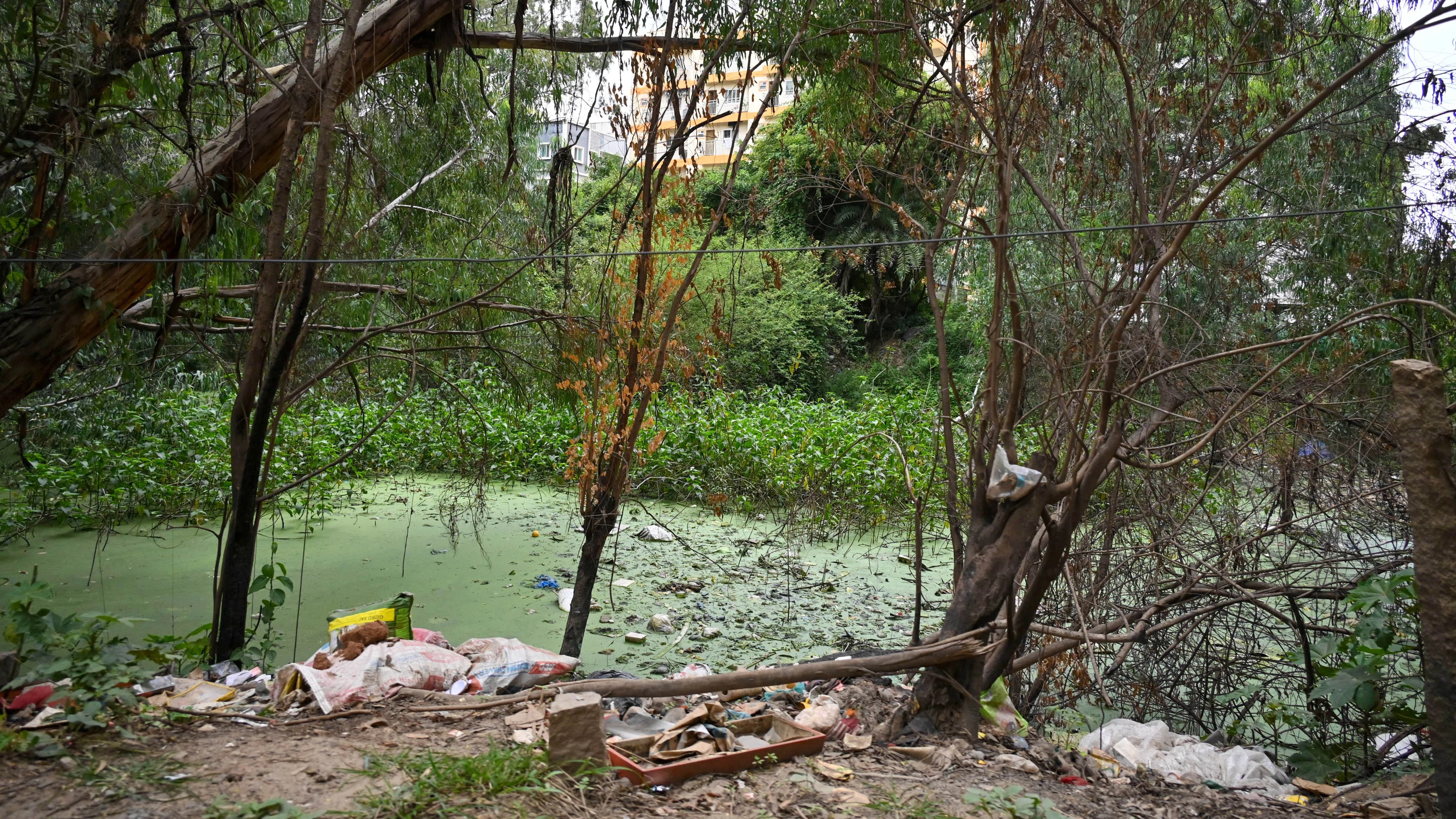 Pattandur Lake choked, encroached & forgotten