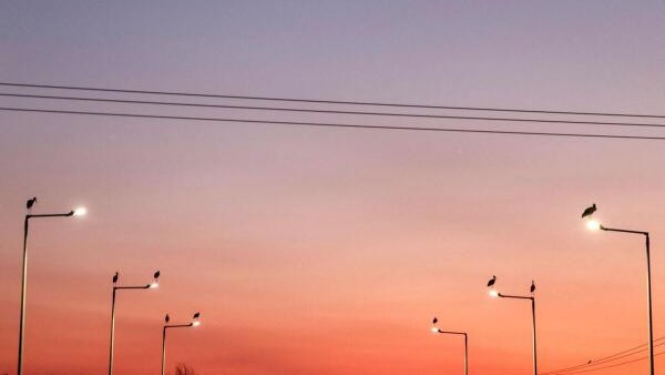 News in Pics | August 9, 2025: Best photos from around the world