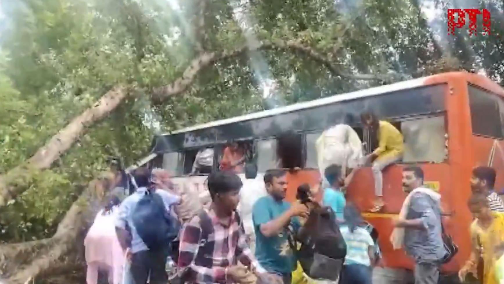 Five teachers among six killed as tree falls on moving bus in UP's Barabanki 