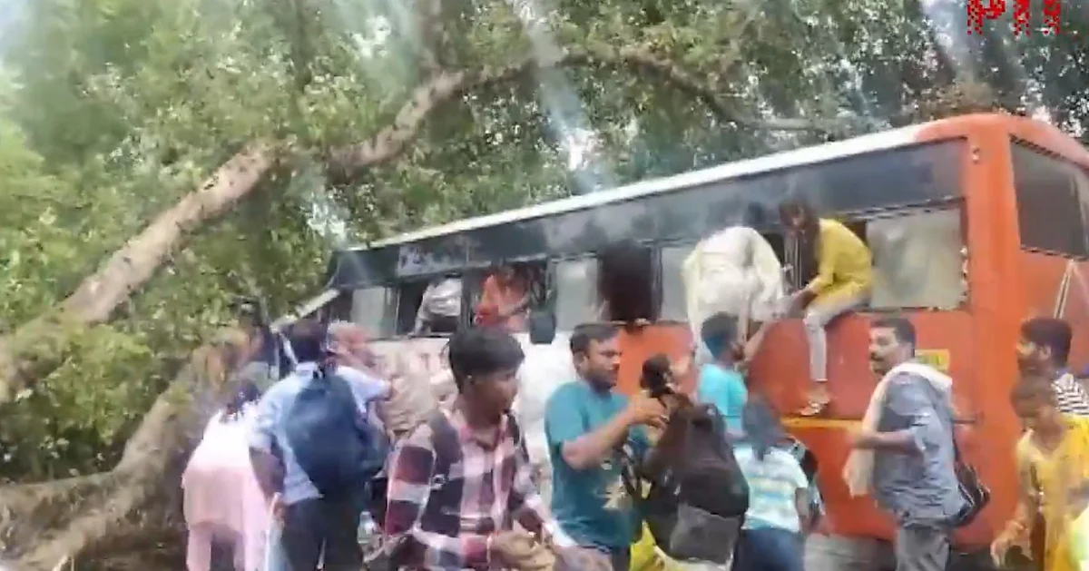 UP Accident News: Five Teachers Among Six Killed as Tree Falls on Bus in Barabanki