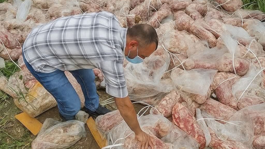 Panic grips Kashmir after seizure of rotten meat 