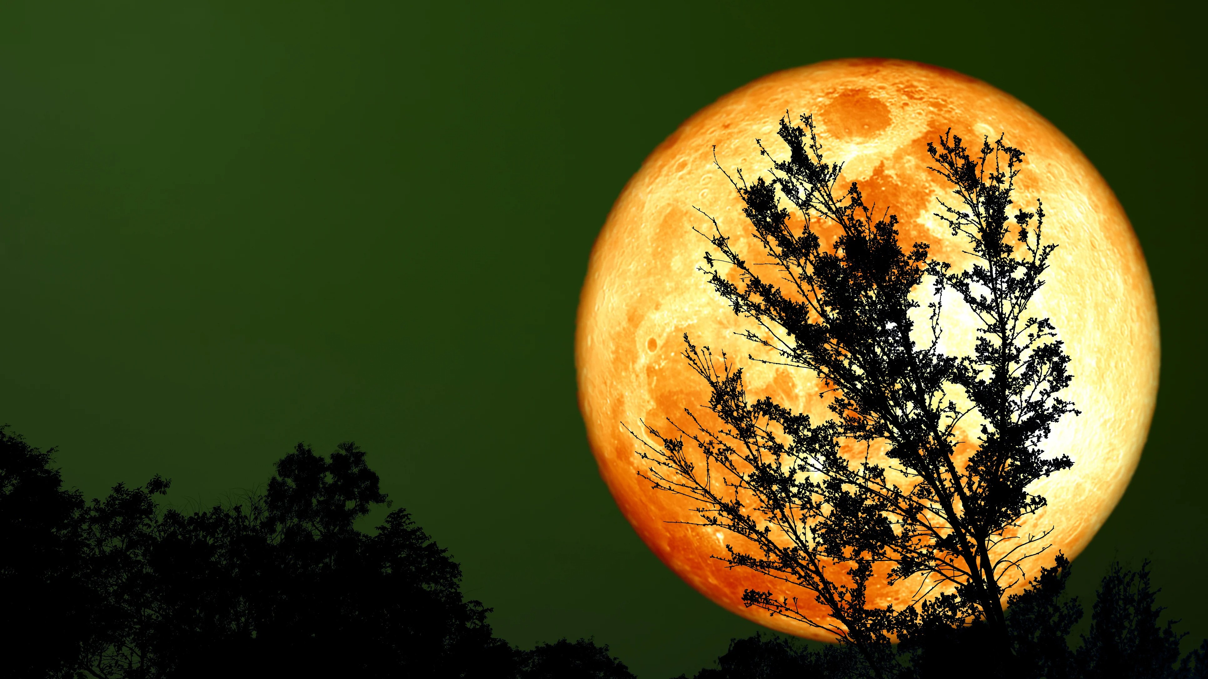 Sturgeon moon 2025: All you need to know about August full Moon