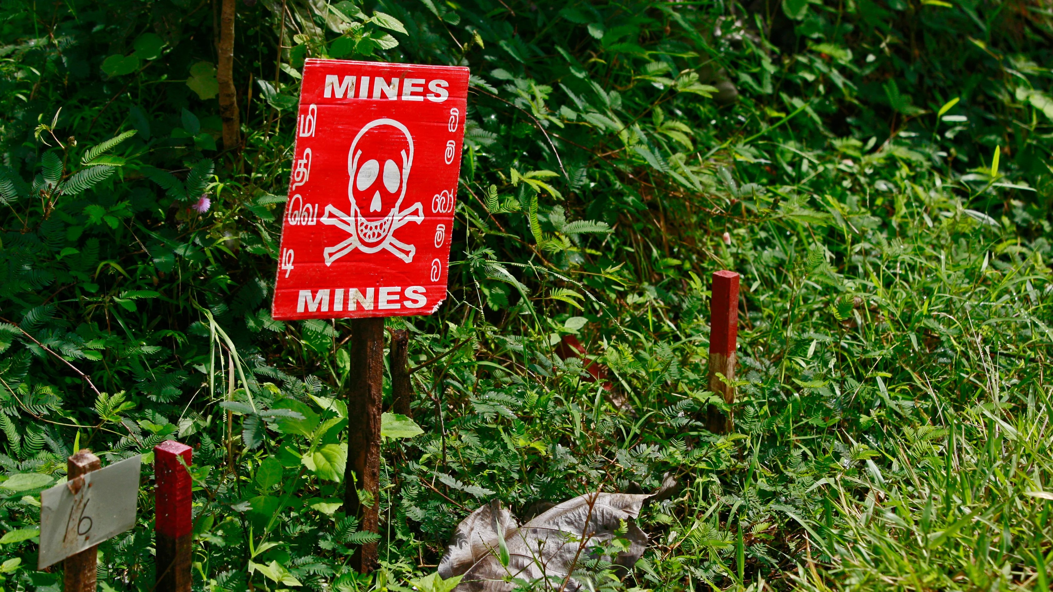 Thai soldiers injured by landmine near Cambodia amid fragile ceasefire