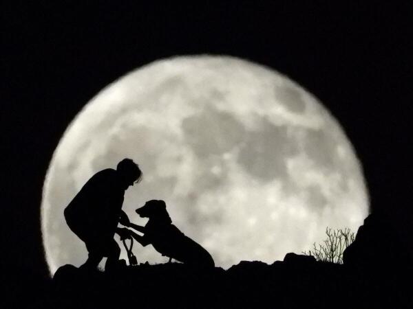 Yerai Garcia (31), plays with his dog Greta as the full moon, known as the "Sturgeon Moon," rises in Arguineguin, on the island of Gran Canaria, Spain.
