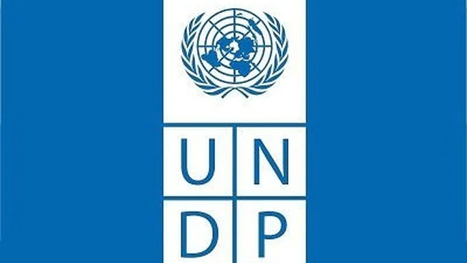 Forest Rights Act can open pathways for tribal governance: UNDP