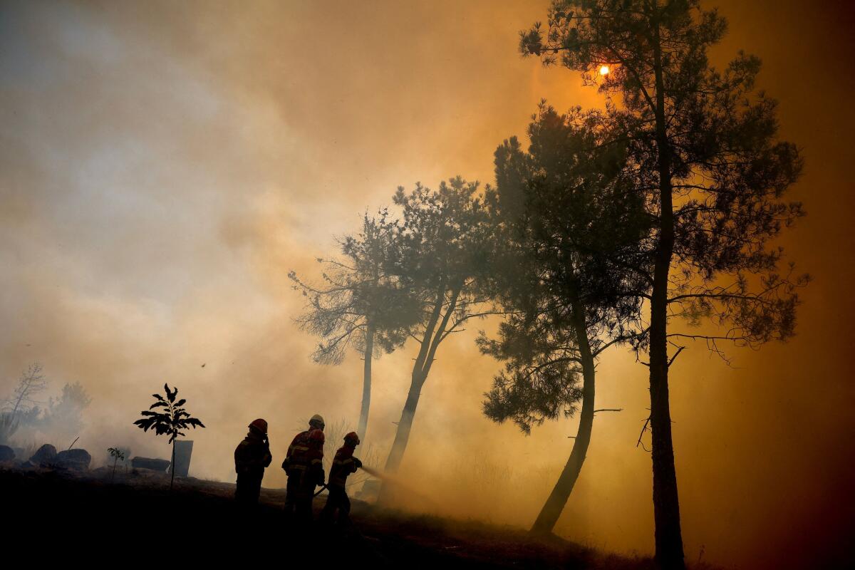 Firefighters try to extinguish a wildfire in Trancoso, Portugal.