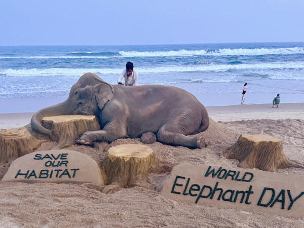 Artist Sudarsan Pattnaik creates a sand sculpture on the eve of ‘World Elephant Day’, at the beach in Puri, Odisha.