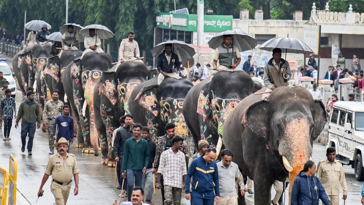 Bheema is the 'heavyweight' at Dasara jumbo, Abhimanyu second