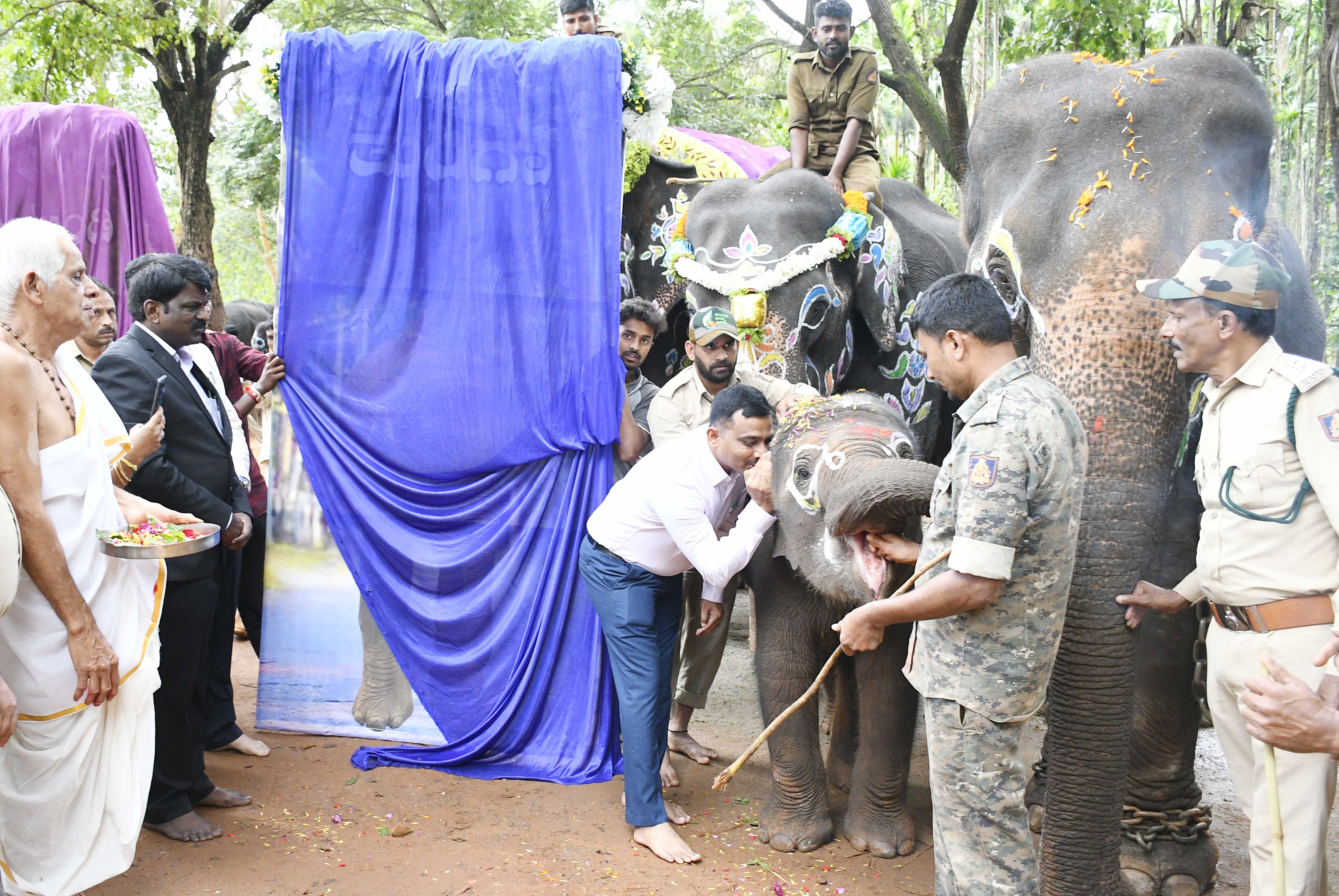 Jumbo celebrations mark 
World Elephant Day
