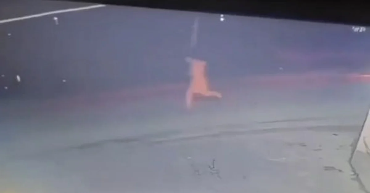 Balrampur Horror: Mentally Challenged Mute Woman Gang-Raped, CCTV Captures Chase