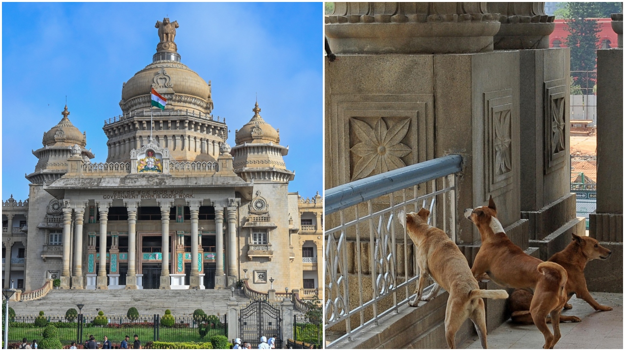 A view of the Vidhana Soudha(L), stray dogs at the premises of the building in Bengaluru.