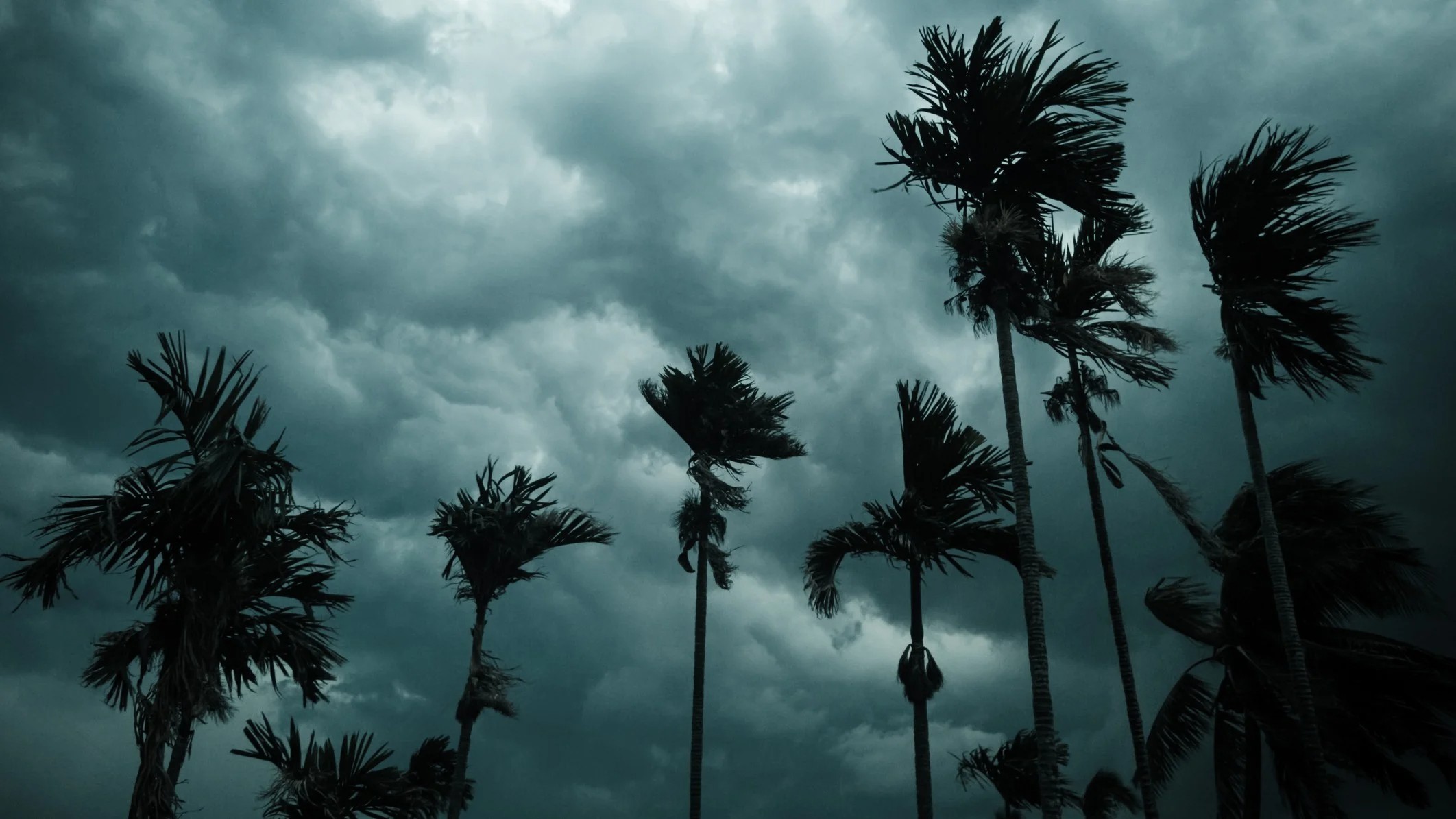 IMD issues red alert to several places in Telangana on August 13, 14