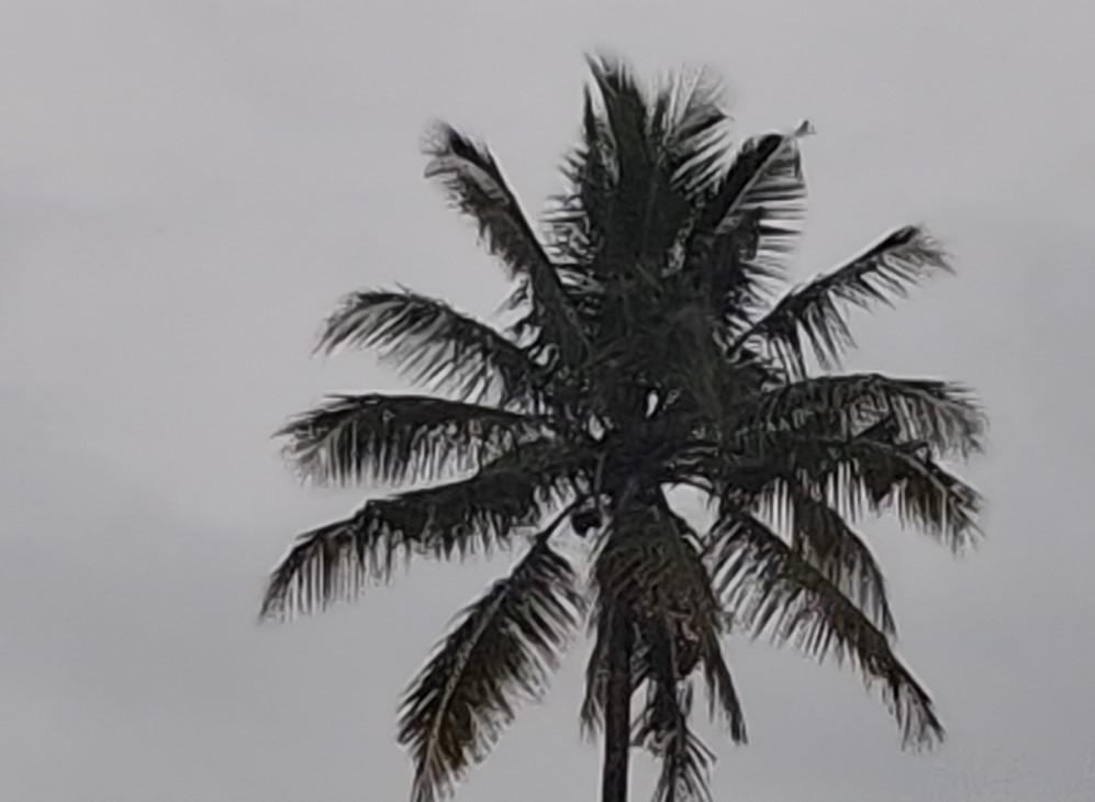 Samsung Galaxy M36's camera sample with 10X Zoom.