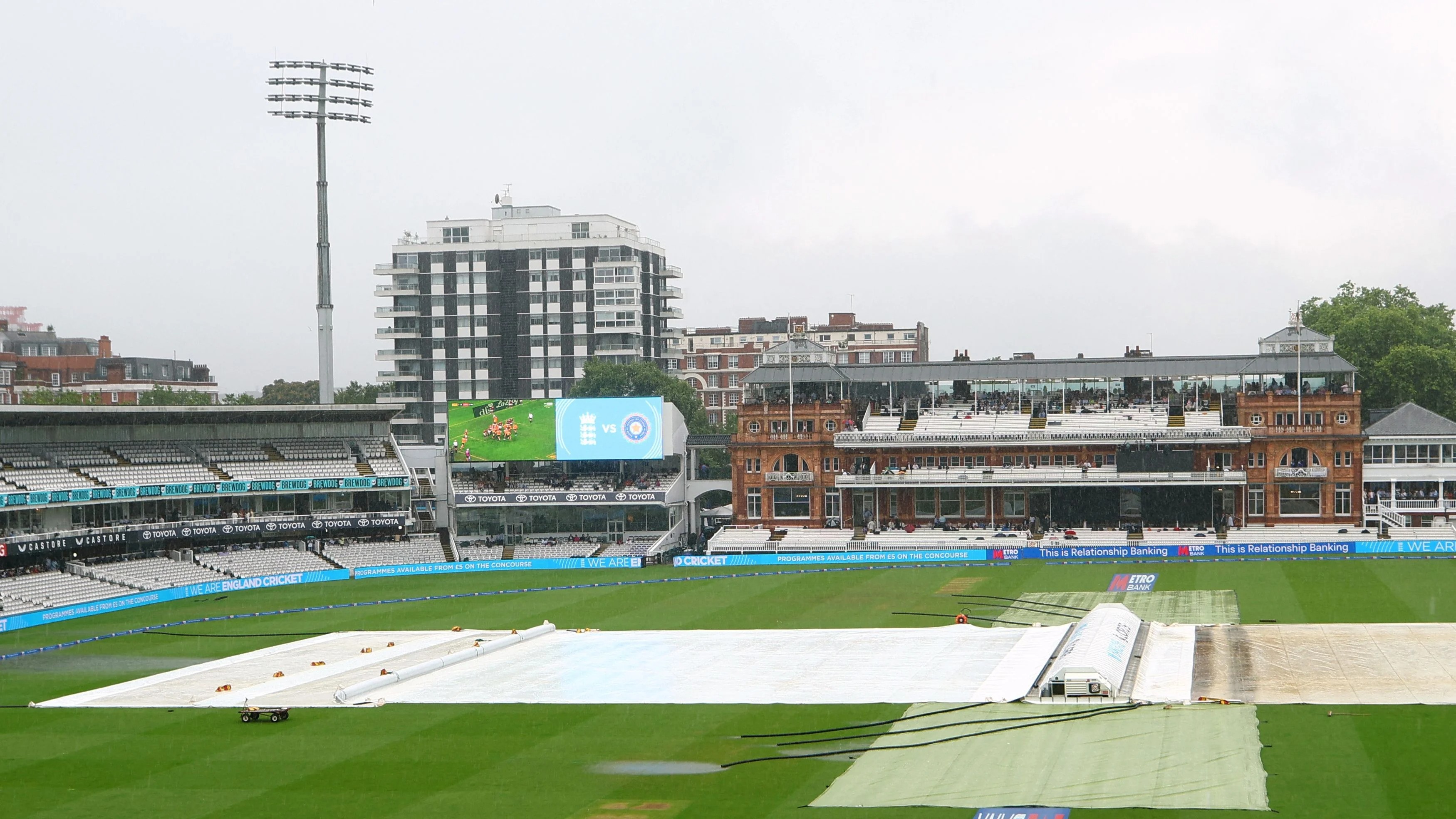 Life at the stumps 