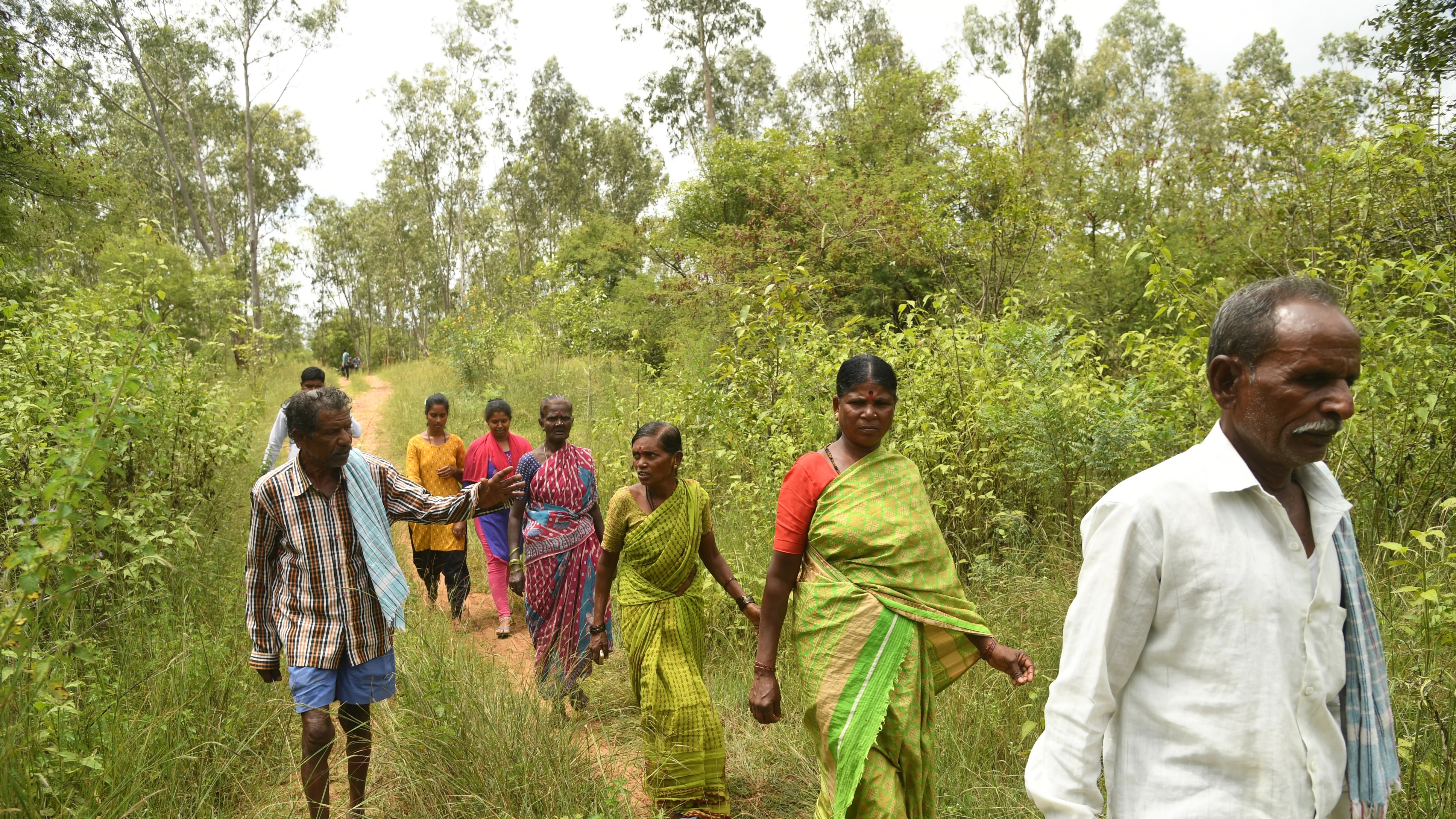 Ejected from forests long ago, dwellers’ claims now rejected almost en masse