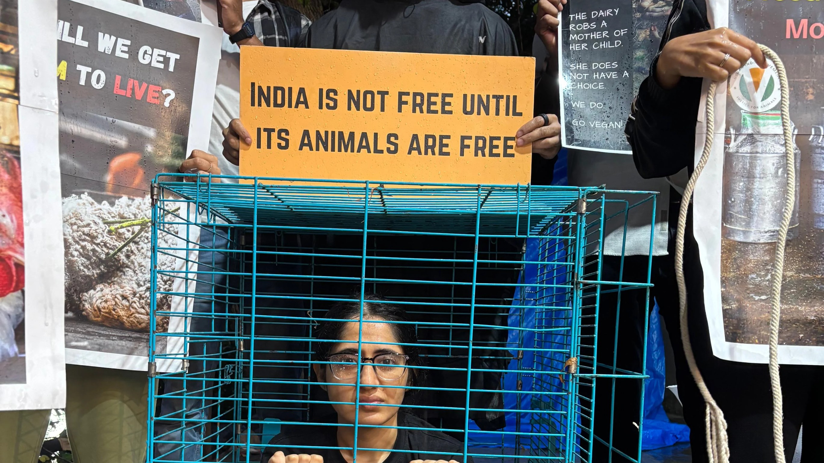 Bengaluru activists promote veganism as social justice movement  