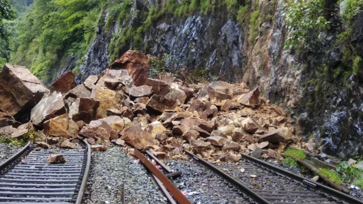 Greens from state, Goa question WII's 'conditional' nod for doubling railway line