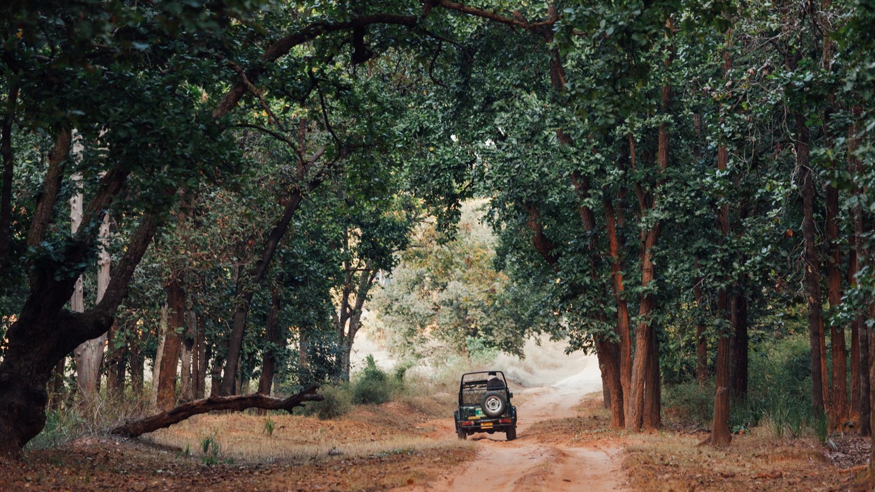 Rajasthan: 20 tourists stranded in Ranthambore as safari vehicle breaks down