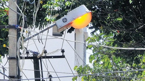 Why power infra safety measures only for humans, ask Bengaluru activists
