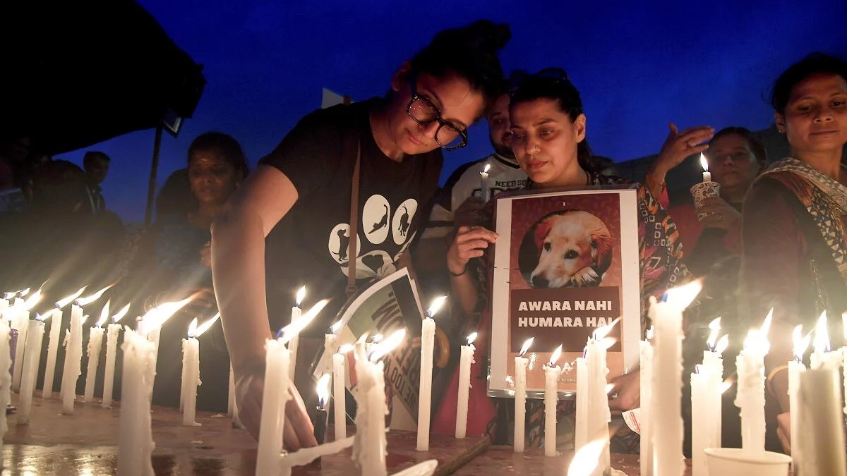 People participate in a candlelight march against the Supreme Court order directing authorities to remove all stray dogs from Delhi-NCR localities and place them in shelters, in Mumbai.