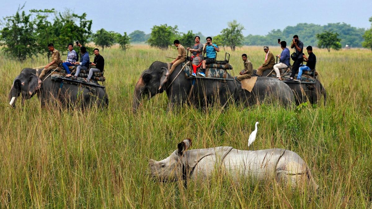 Centre mulls voluntary relocation of people from biodiversity-rich areas, wildlife corridors