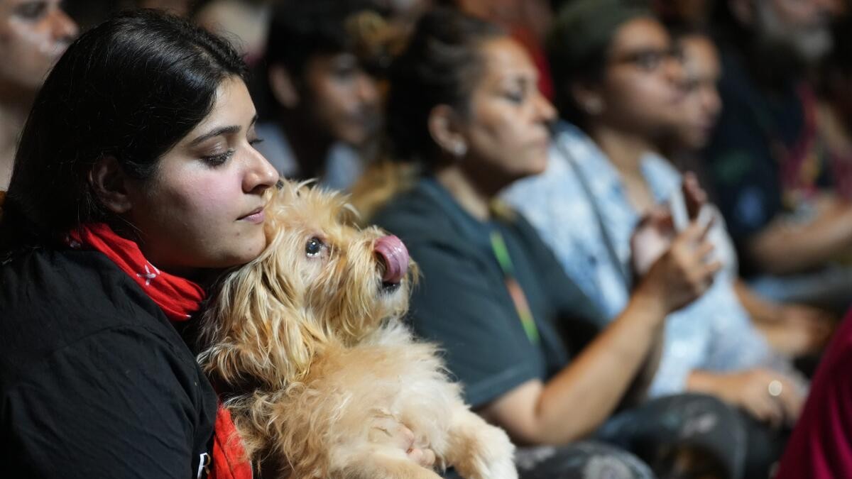 Gotta have faith: Activists turn to prayer to oppose SC order on stray dogs