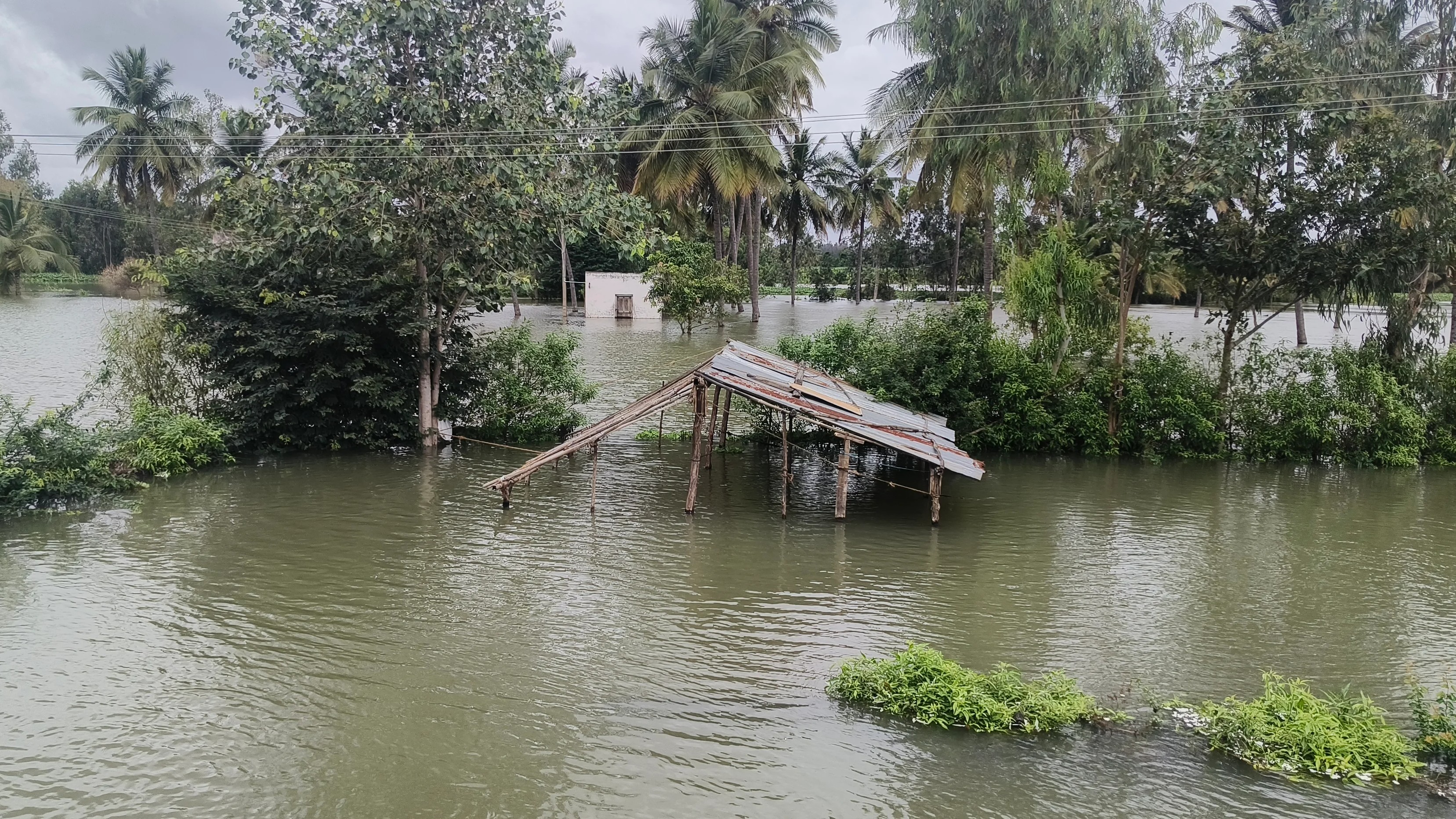 Rains relent in Malnad, batter Kalyana Karnataka