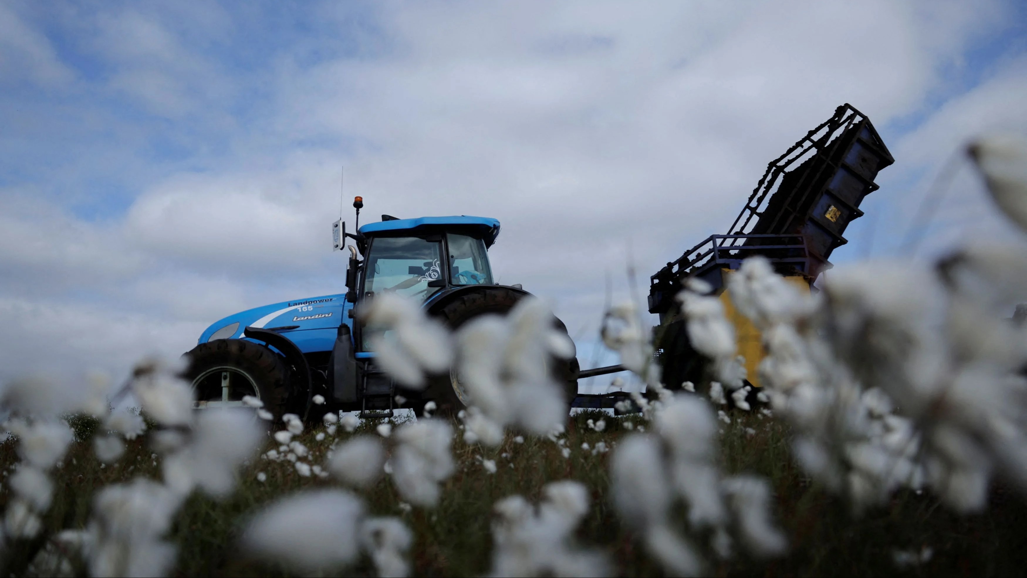 Centre extends import duty exemption on cotton till December 31