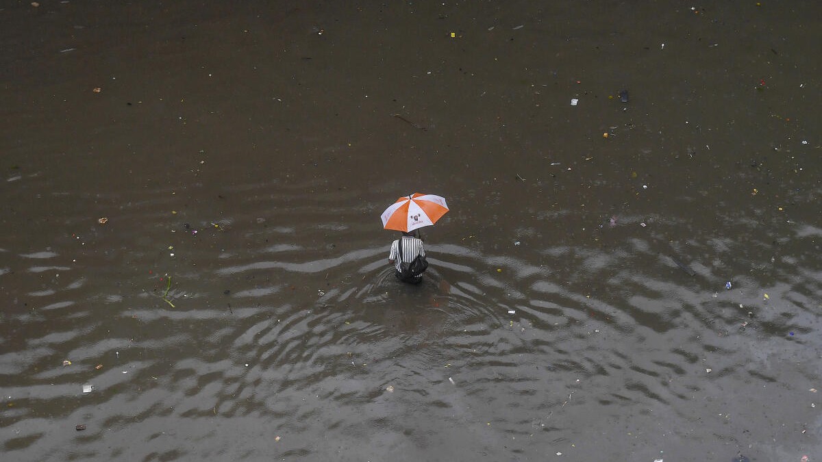 Vasai-Virar faces havoc, Welcome to Venice