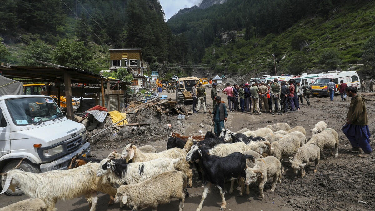 Nomadic shepherds with their herd of sheep at cloudburst-hit Chisoti village, in Kishtwar district, Jammu and Kashmir.