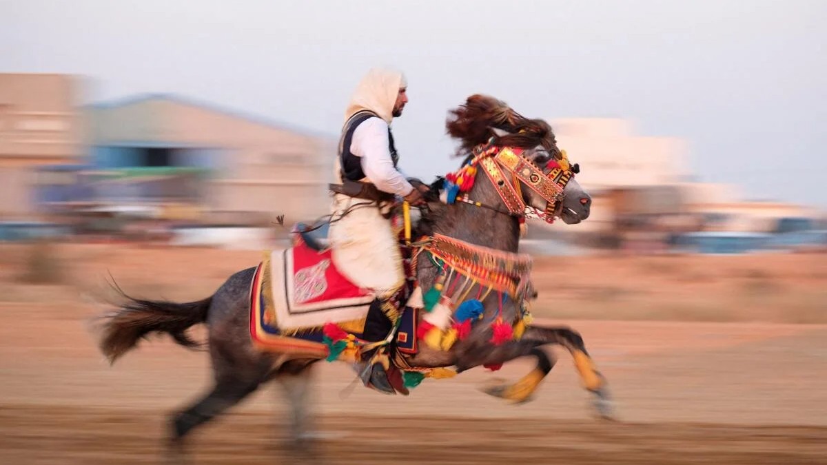 A Libyan man wearing a traditional costume rides a horse dressed in traditional trappings during an Al-Miz performance in Suluq, near Benghazi, Libya.