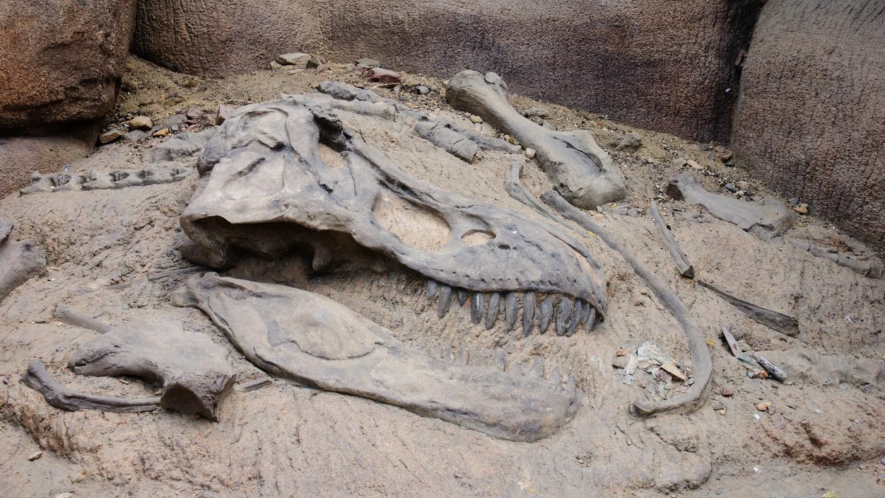 Suspected dinosaur-era fossils found during pond excavation in Jaisalmer; GSI probe ordered