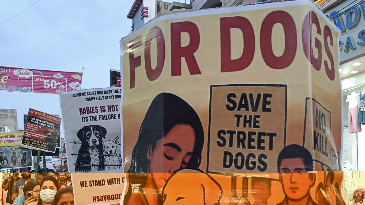 Attack on Delhi CM: Accused planned to stage protest at Ramleela Ground against SC order on stray dogs
