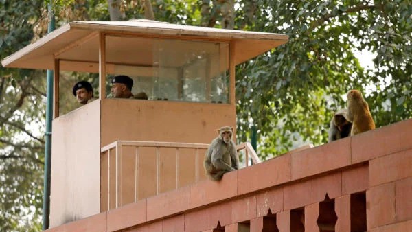 UP man held for scaling Parliament wall in Delhi released