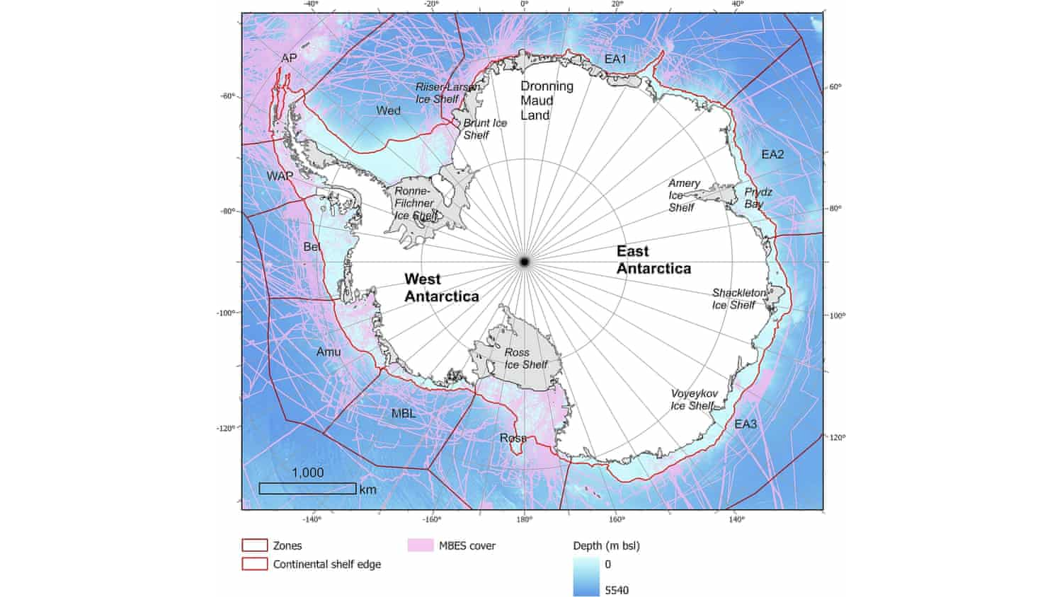 Hidden network of submarine canyons