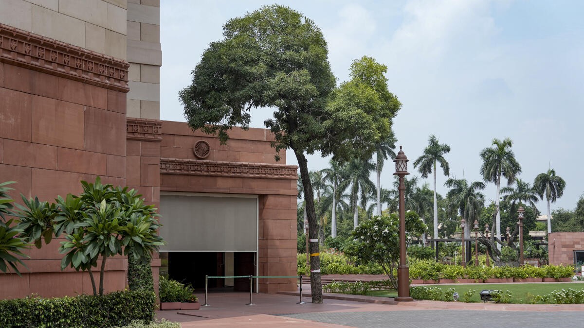 Parliament's 'number 01' tree poses security challenge, to be transplanted soon