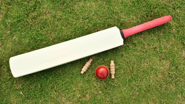 14-year-old boy kills 10-year-old female neighbor over cricket bat theft in Hyderabad