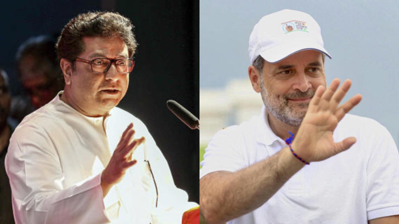 After Uddhav Thackeray, Raj Thackeray backs Rahul Gandhi's 'vote chori' charges