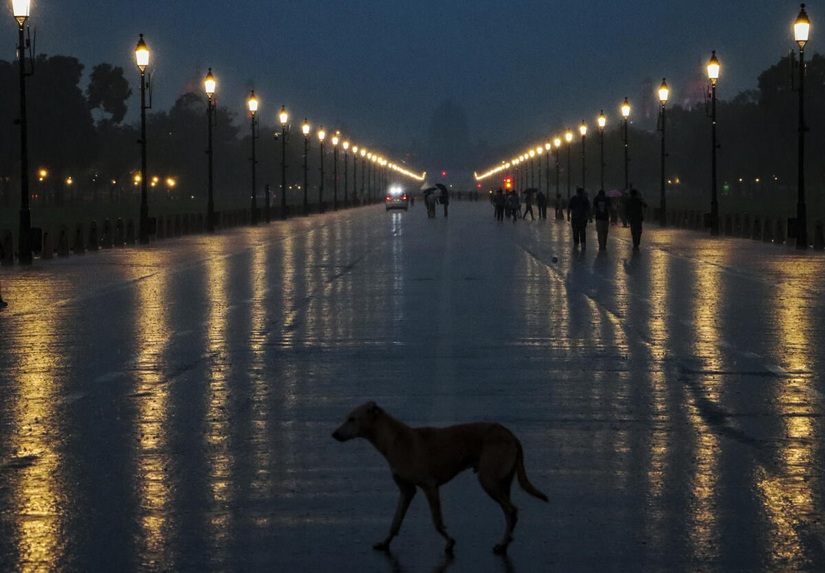 A dog crosses Kartavya Path amid monsoon rain, in New Delhi, Saturday, Aug. 23, 2025.
